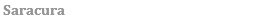 &nbsp;Saracura 
